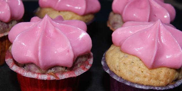 Cupcakes med skogsb�r