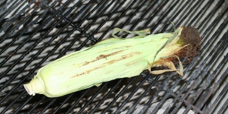 Grillet mais