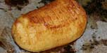 Hasselbakte poteter