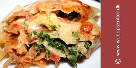 Meksikansk kylling-lasagne