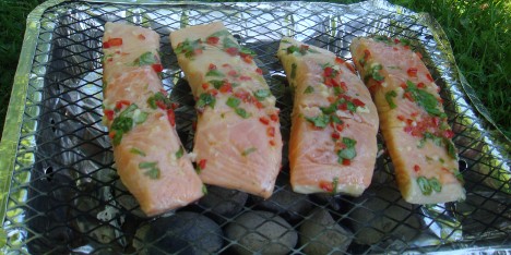 Oppskrift p� grillet laks