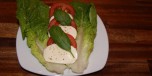 Tomatsalat med mozzarella