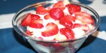 Trifle med jordbr