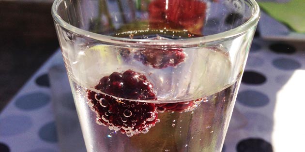 Alkoholfri velkomstdrink med hylleblomst