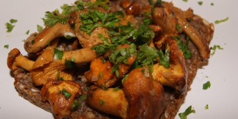 Kantareller p� br�d